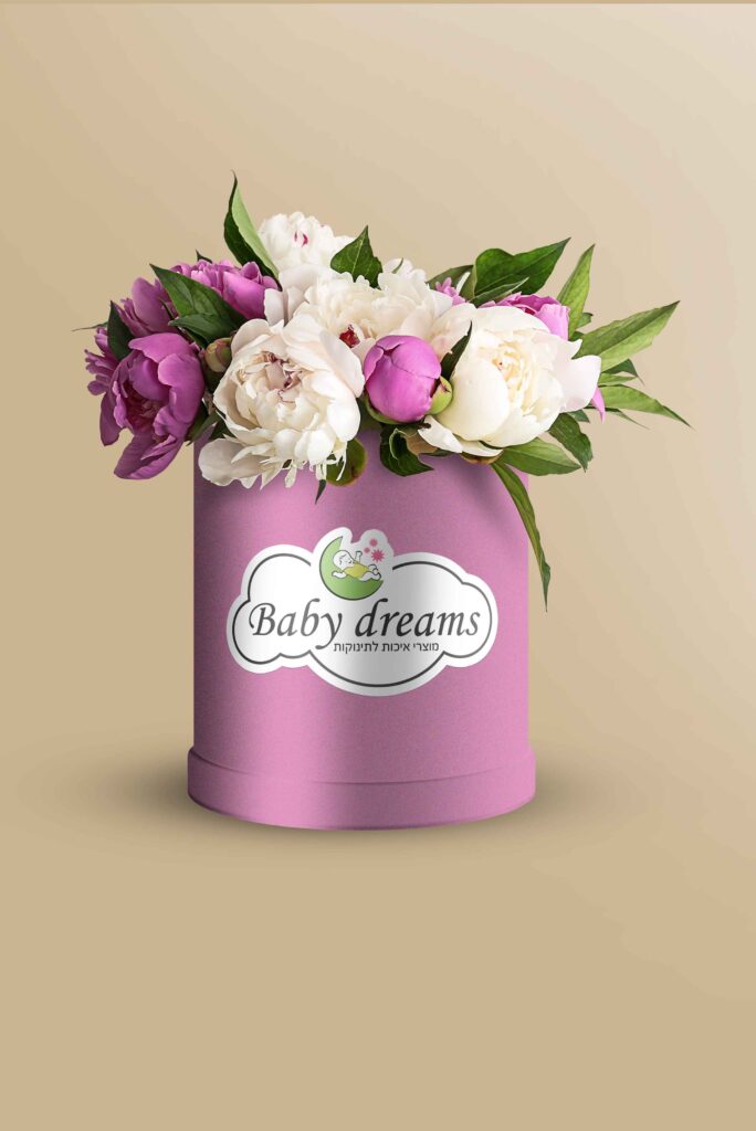 עיצוב גרפי ובנית אתרים